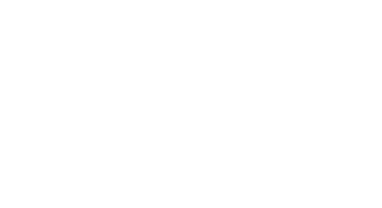 Logo Hauni